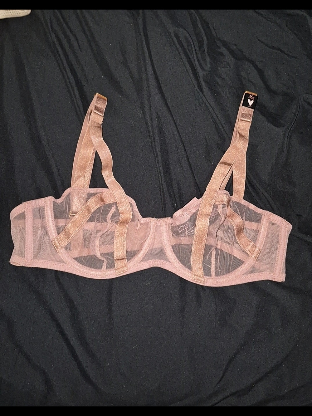 Victoria's Secret Sheer Underwire Bra in Blush Pink and Champagne